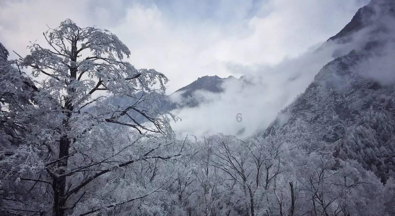 在韩国河智苑和宋慧乔谁地位高？游戏画面